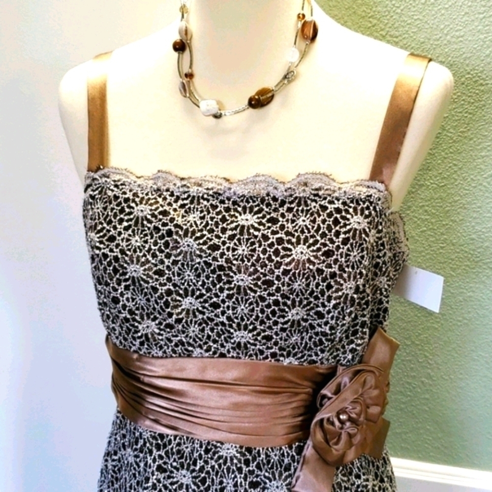 R&M RICHARDS EMPIRE WAIST SLEEVELESS LACE DRESS - Picture 2 of 9